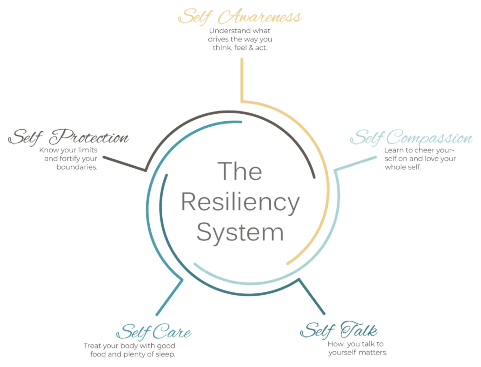 The Resiliency System: Self Awareness, Self Compassion, Self Talk, Self Care, and Self Protection arranged around a circle